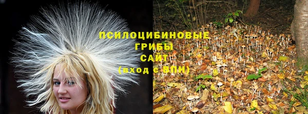 спайс Белокуриха